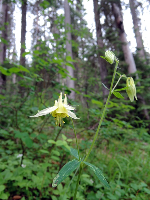 f0373905_1536326.jpg