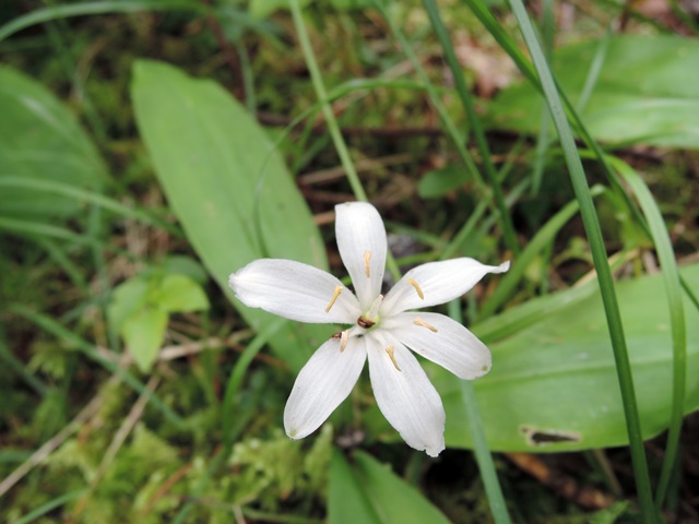 f0373905_15425511.jpg
