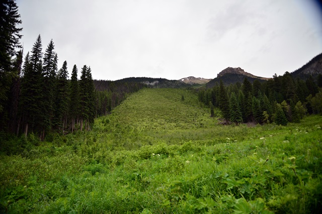 f0373905_15453027.jpg