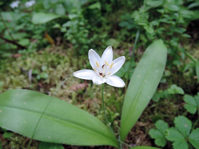 f0373905_1552168.jpg