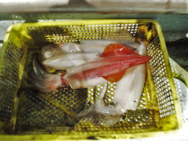 e0113508_9527100.jpg