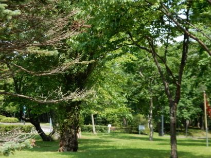 苫小牧緑ケ丘公園にも行って来ました！夏にです！_d0200811_21200403.jpg