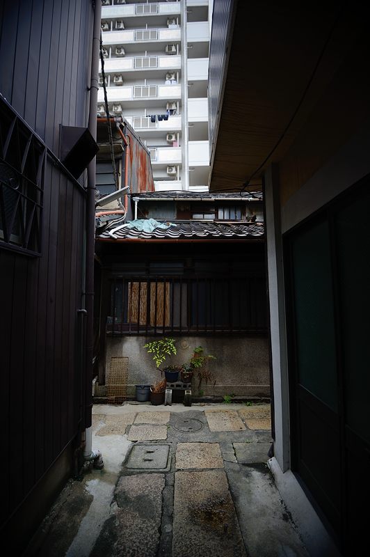f0032011_1783442.jpg