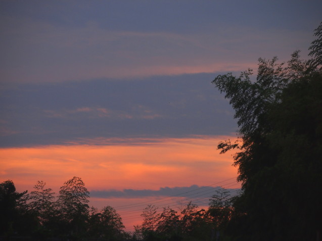 d0048812_11561357.jpg