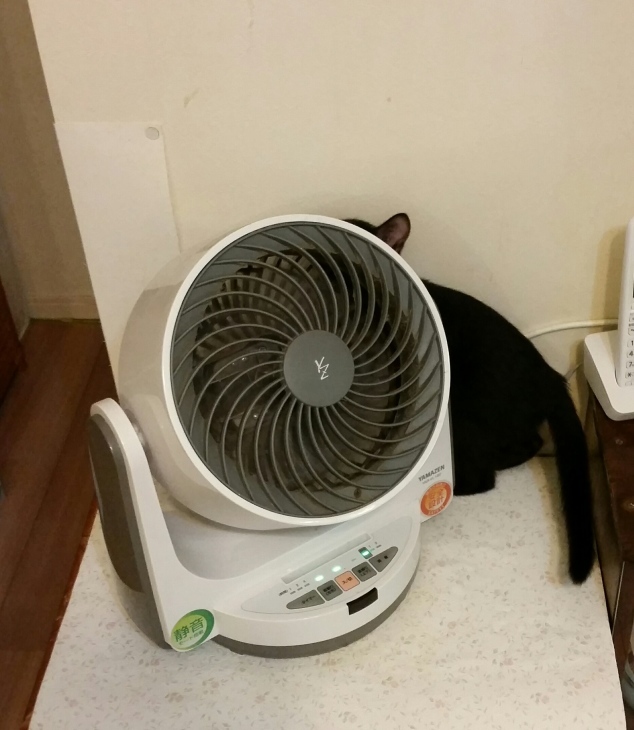 e0144012_18393315.jpeg