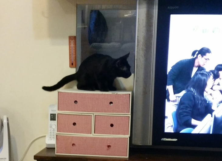 e0144012_18453547.jpeg
