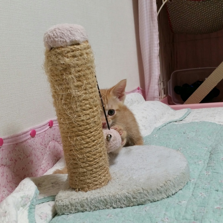 e0144012_23455543.jpeg