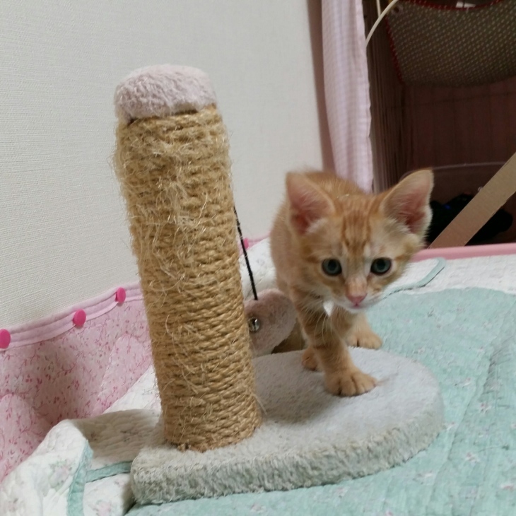 e0144012_23463073.jpeg