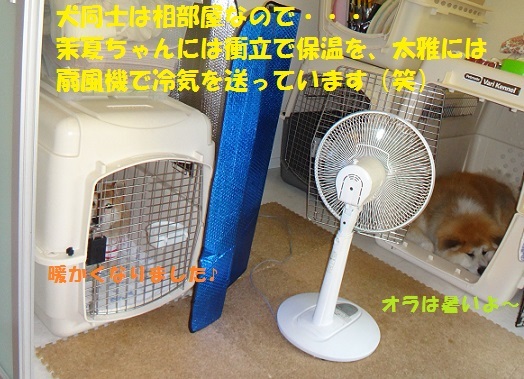 f0121712_15280712.jpg