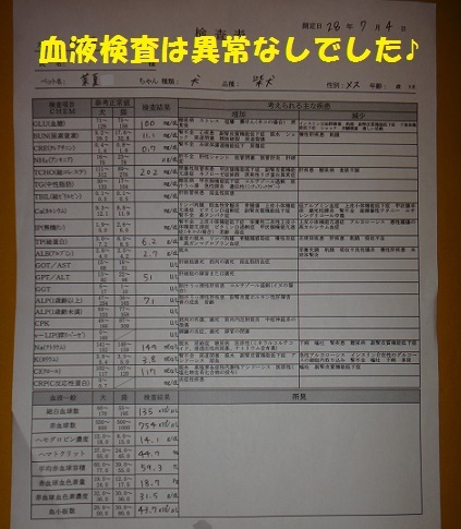 f0121712_15481158.jpg
