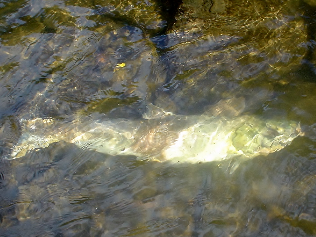 f0280717_15113018.jpg