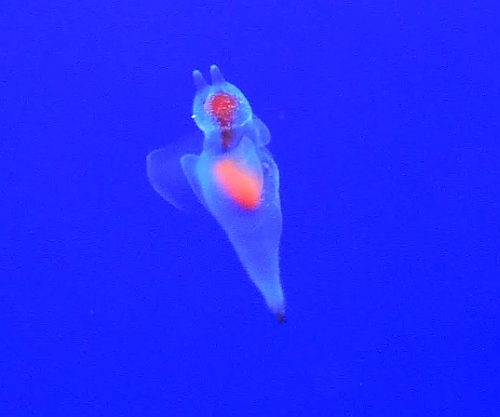 e0208718_22263220.jpg