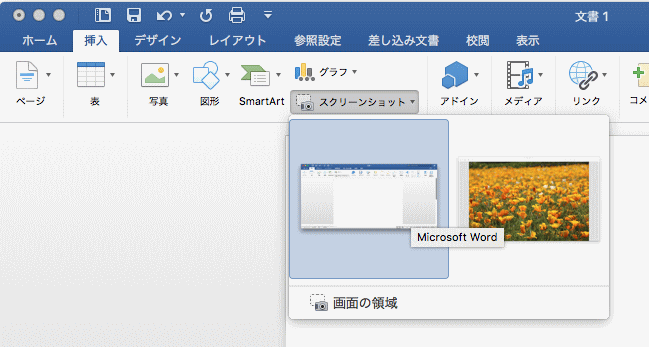 PowerPoint for Macにはスクリーンショットがない_b0059420_13041746.gif