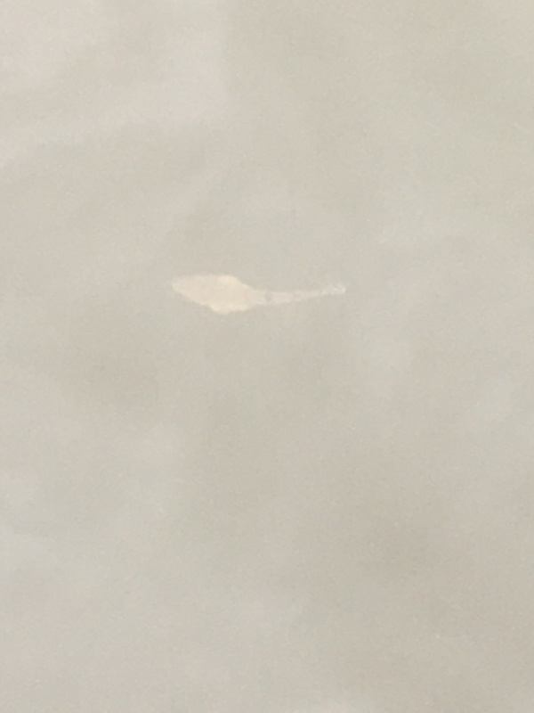 e0346623_15034048.jpg