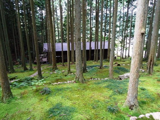 f0213825_12551987.jpg