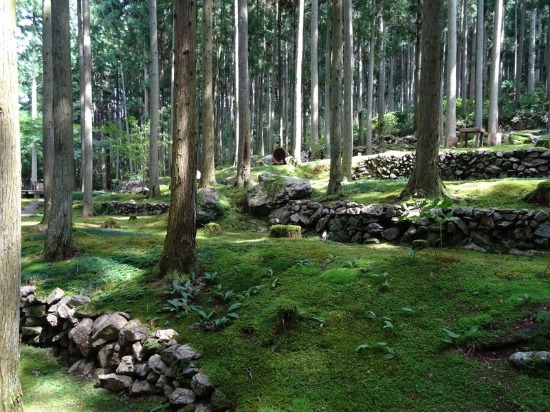 f0213825_12592849.jpg