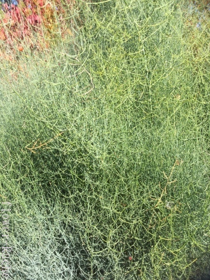 c0103830_13372512.jpg