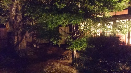 c0108034_12005551.jpg