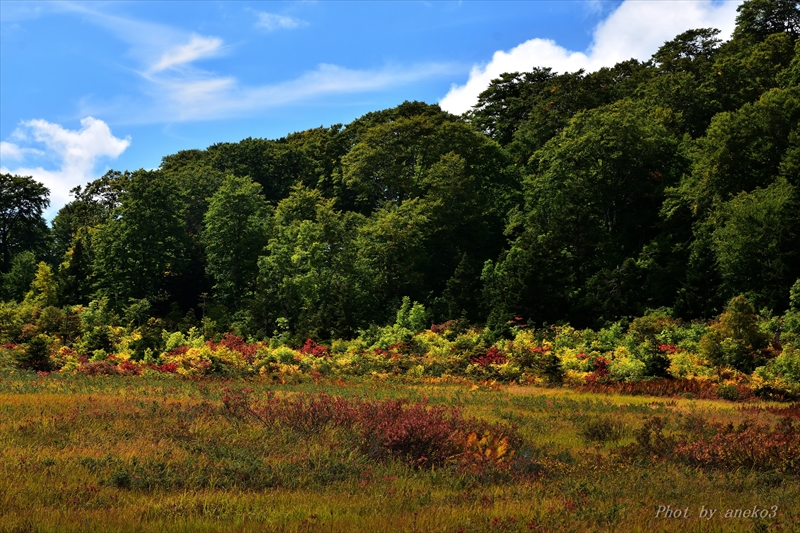 みちのく紅葉始まる_d0067934_19141389.jpg