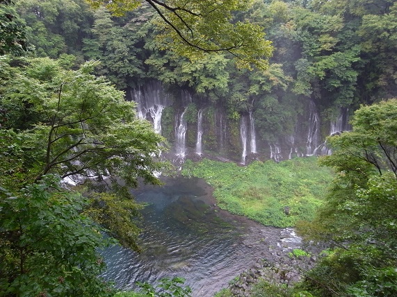 箱根&静岡_c0198337_9552687.jpg