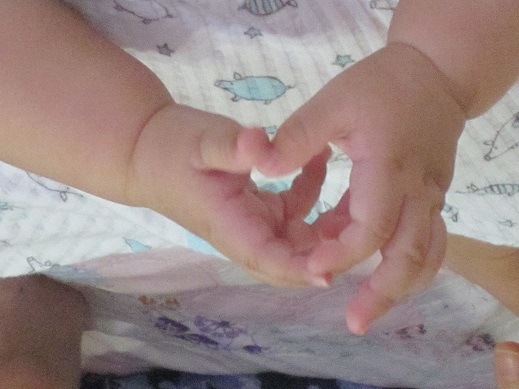 f0370337_12662.jpg