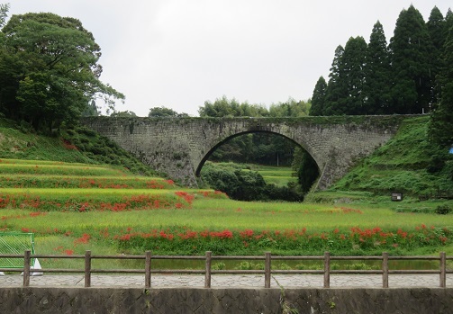 熊本・鹿児島旅行　初日_c0346538_09071226.jpg