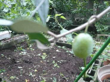 よく降る雨だなー_c0365341_14385359.gif