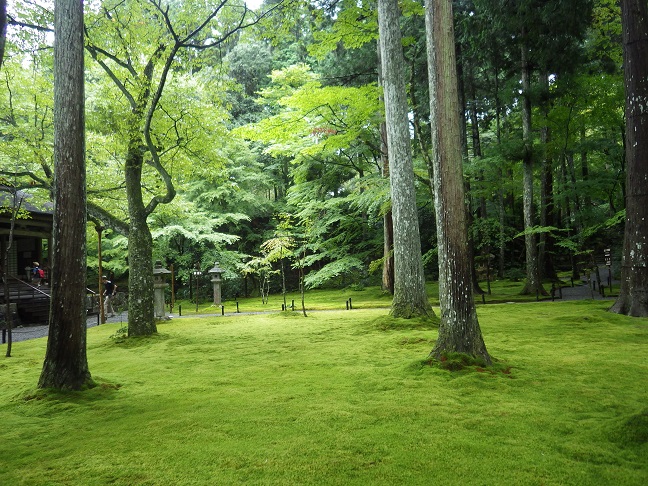 京都・滋賀の山旅・・3日目_e0164643_2159898.jpg