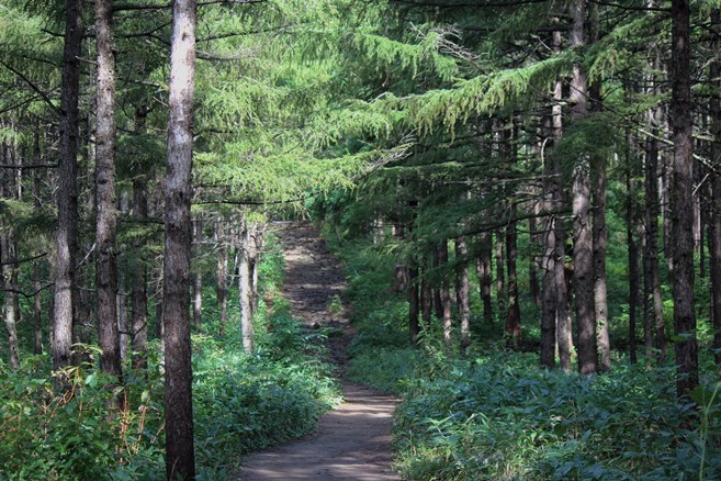 e0239458_18370118.jpg