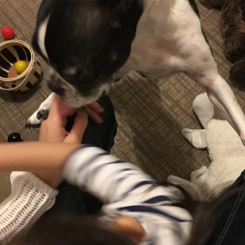 d0041575_21271516.jpeg