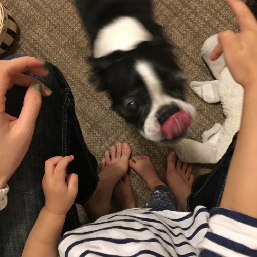 d0041575_21274023.jpeg