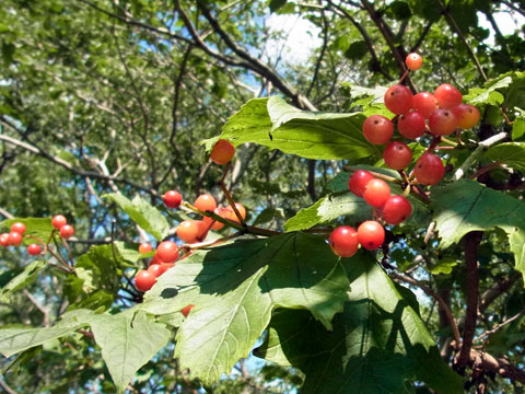 f0083977_17233161.jpg