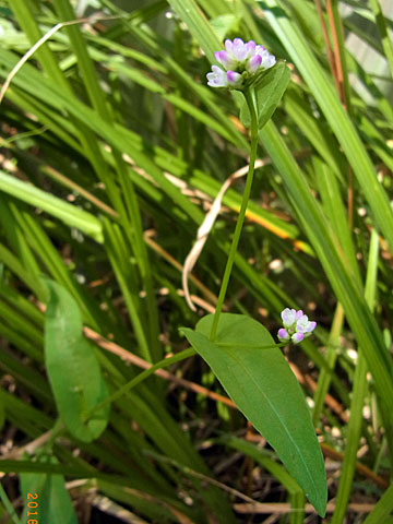 f0083977_17301425.jpg