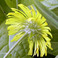 f0083977_17343259.jpg