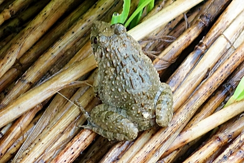b0018682_15323002.jpg