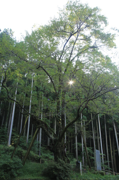 c0358784_16542261.jpg