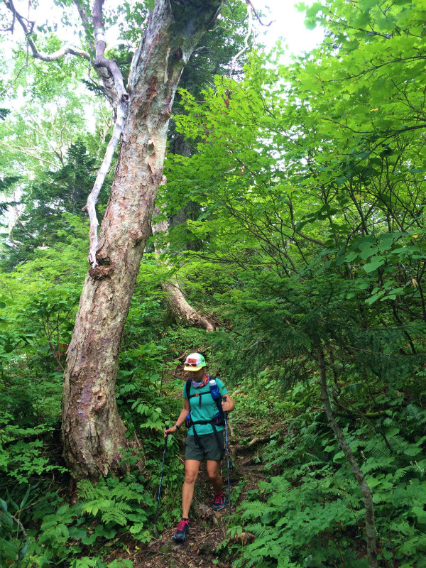 白馬鑓温泉ー祖母谷温泉　Fastpacking+Bouldering 2016/08-24-26 Day.2_b0220886_1930382.jpg