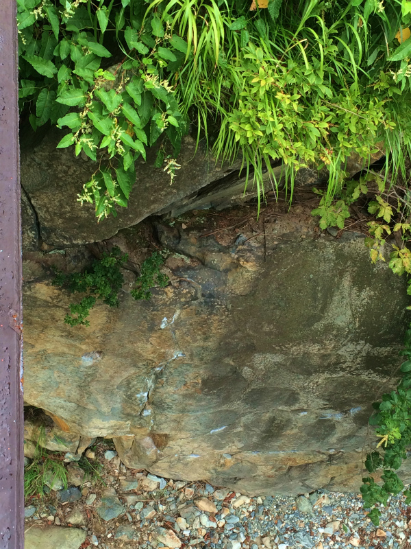 白馬鑓温泉ー祖母谷温泉 Fastpacking+Bouldering 2016/08-24-26 Day.3_b0220886_22392685.jpg