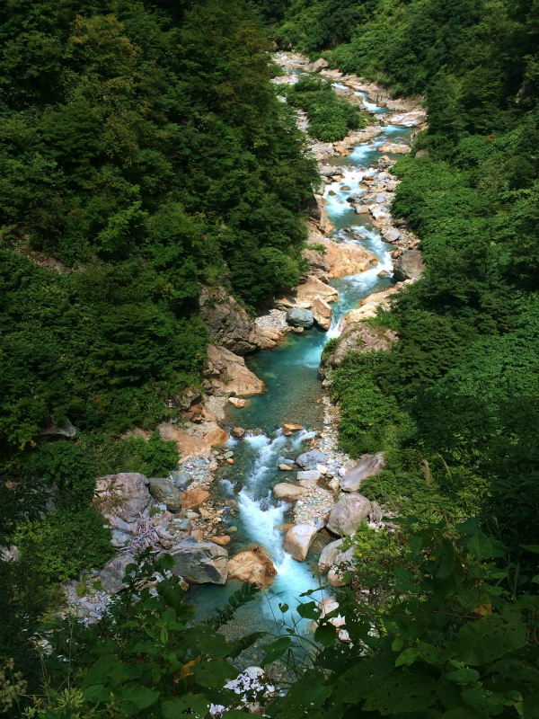 白馬鑓温泉ー祖母谷温泉 Fastpacking+Bouldering 2016/08-24-26 Day.3_b0220886_2242209.jpg