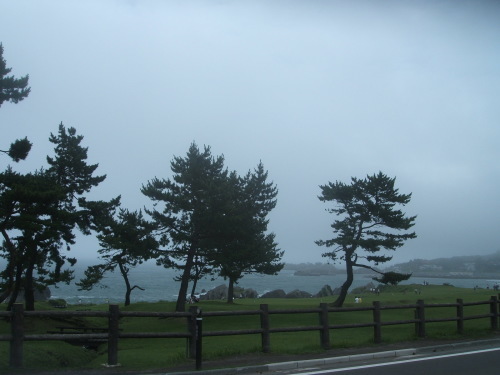 JSC東北大会in野辺地ミーテング。_b0238789_15270952.jpg