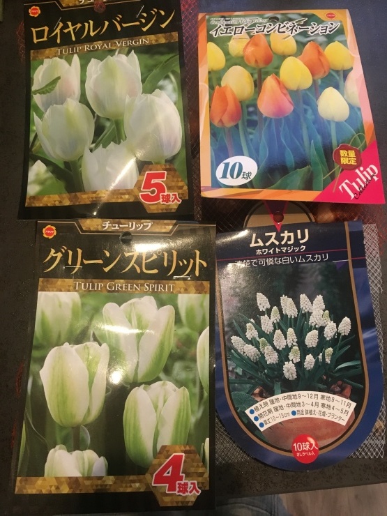 f0228890_16501210.jpeg