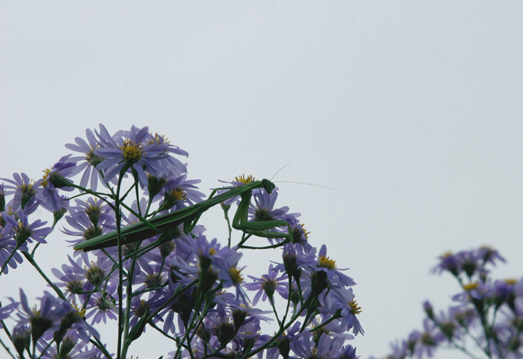f0229190_20235217.jpg
