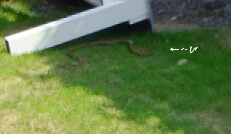 b0266191_19501781.jpg