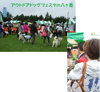 d0282395_20342839.png