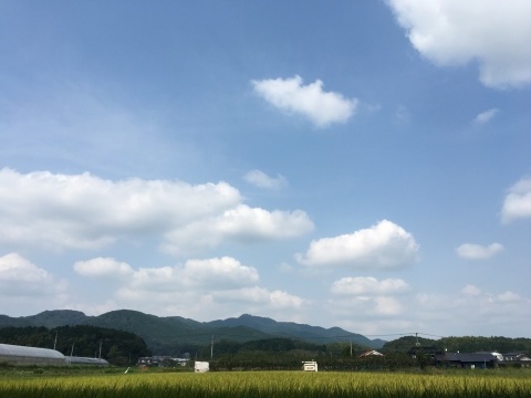 d0157497_23205111.jpeg