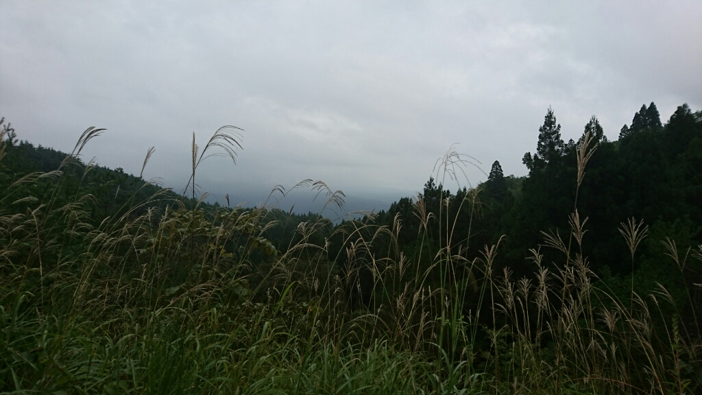 a0104199_20135077.jpg