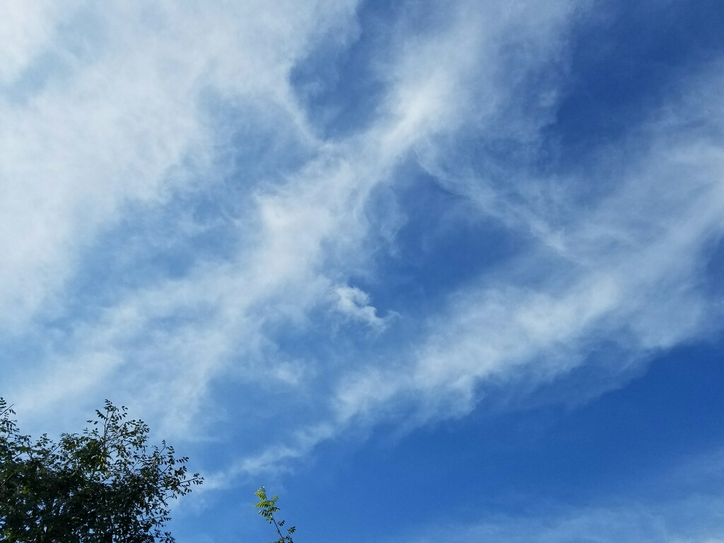 a0333000_19485987.jpg