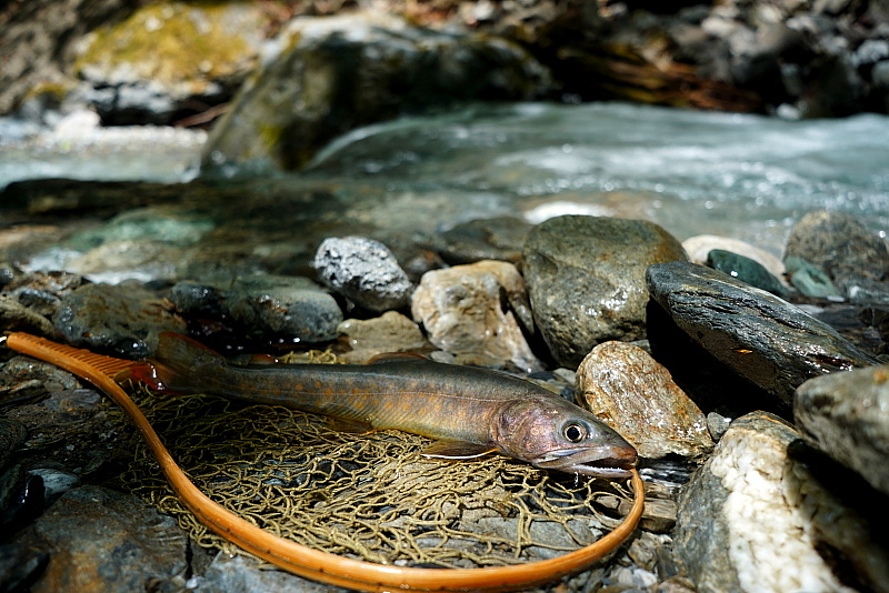 c0339900_21402982.jpg