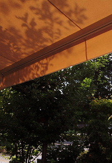 c0039501_09280618.jpg