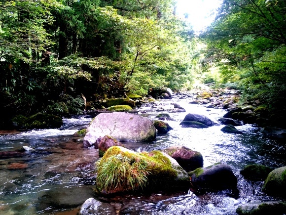 f0266202_20093721.jpg